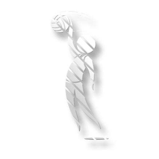 Voleybol